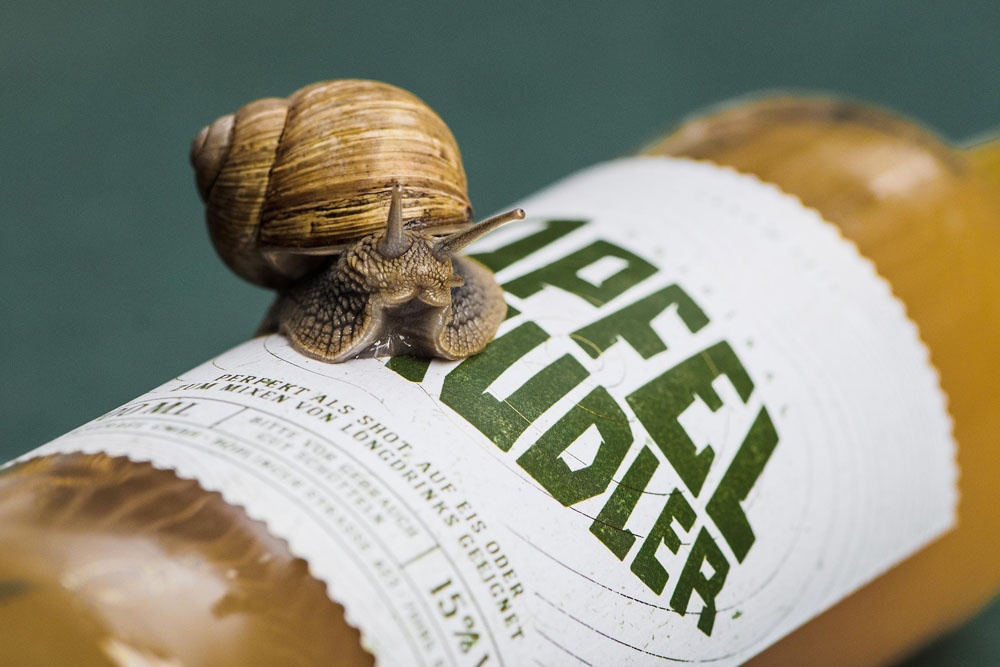 高端品牌logo設計 高端品牌logo設計